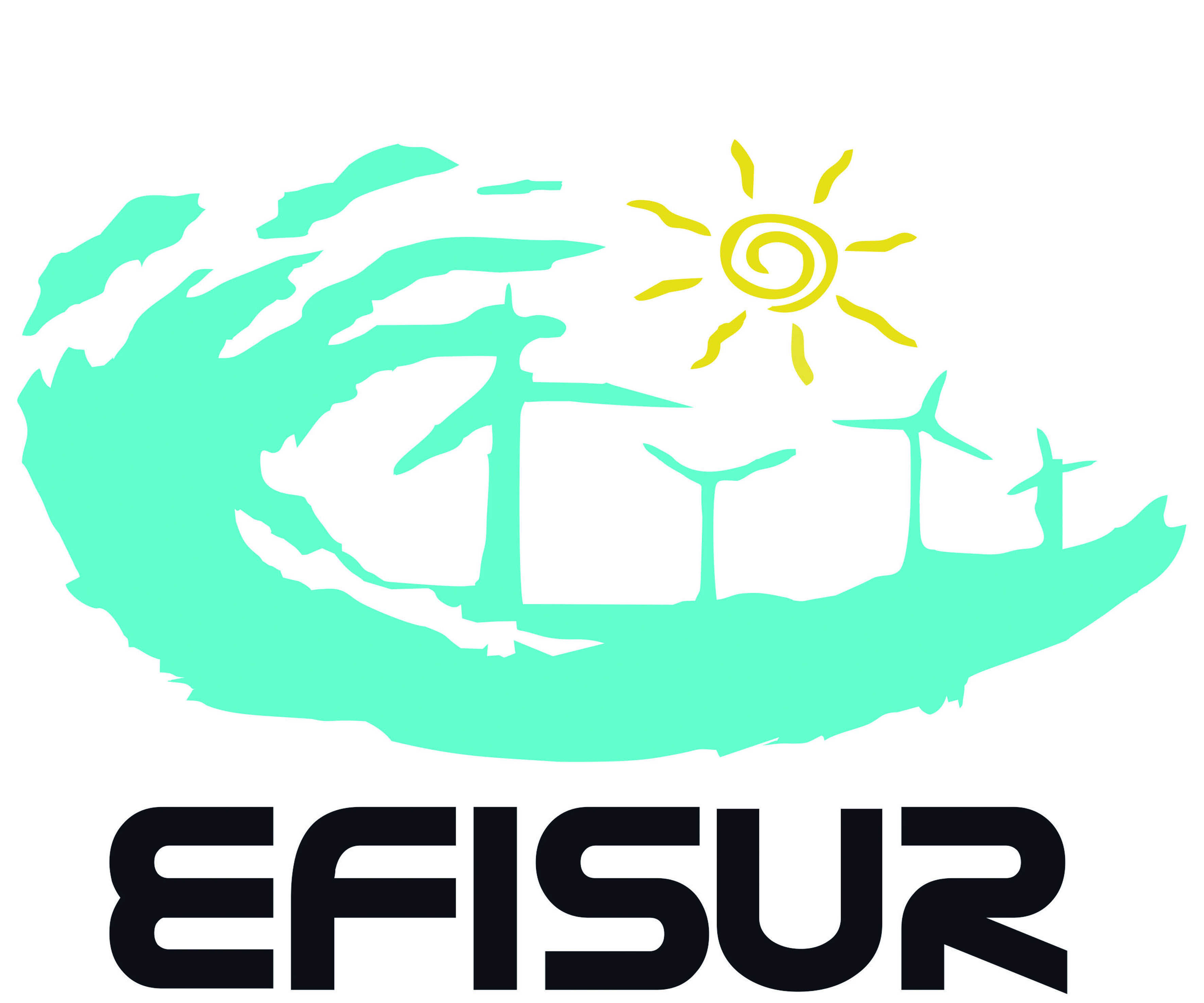 Efisur